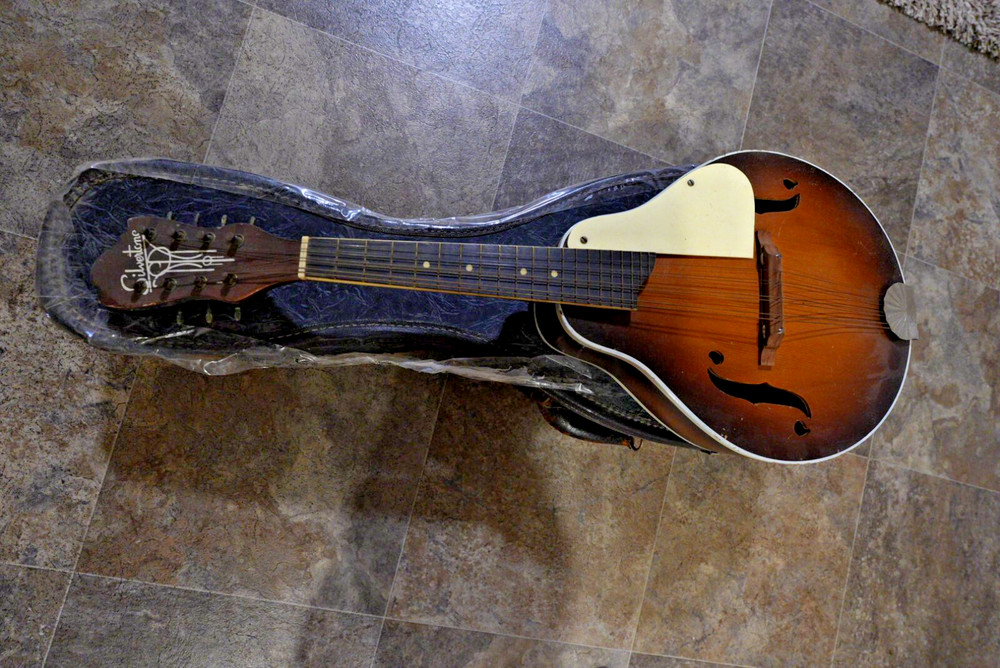 Vintage Silvertone Mandolin  -