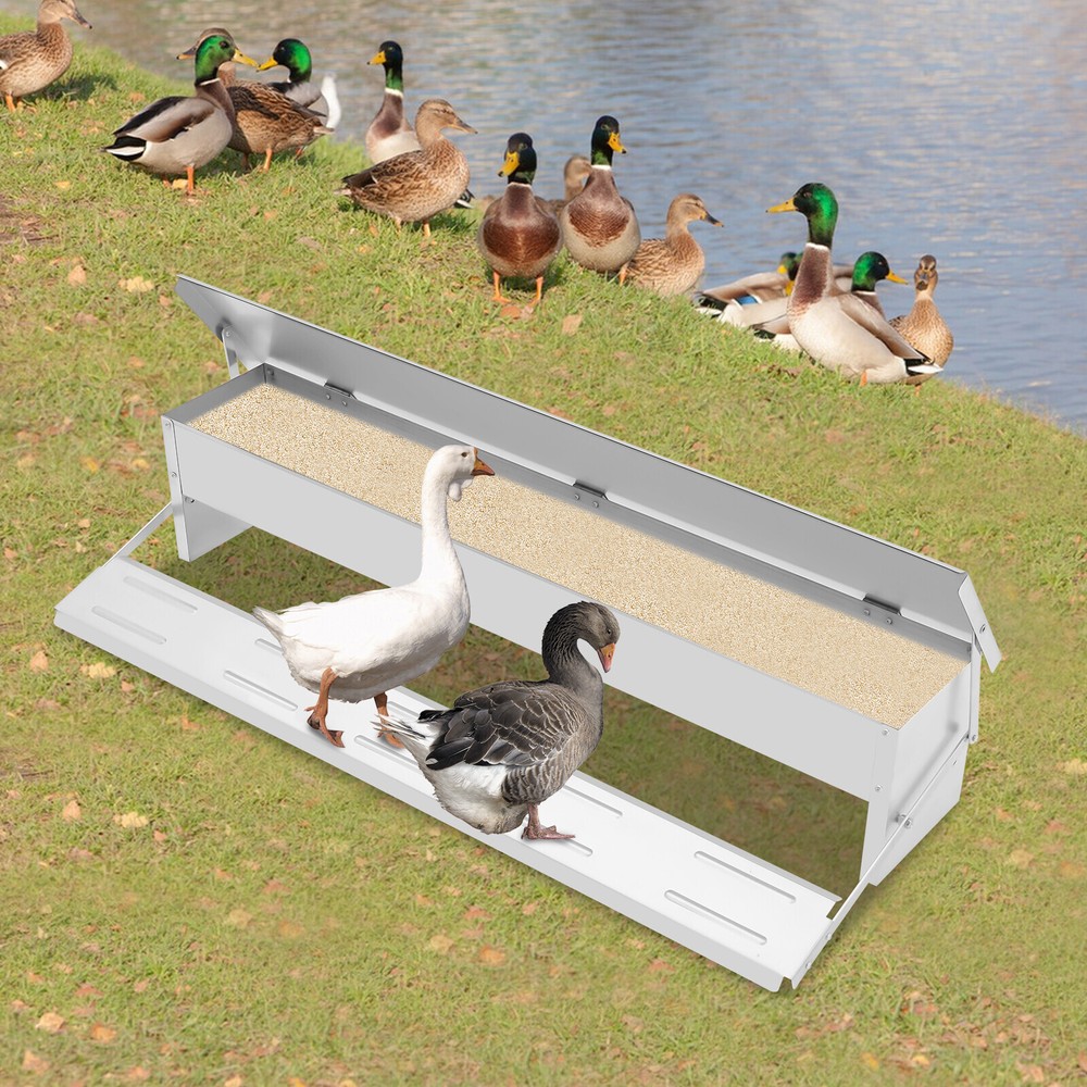 Automatic Chicken Feeder 10kg Capacity | Sturdy Design & Easy Access