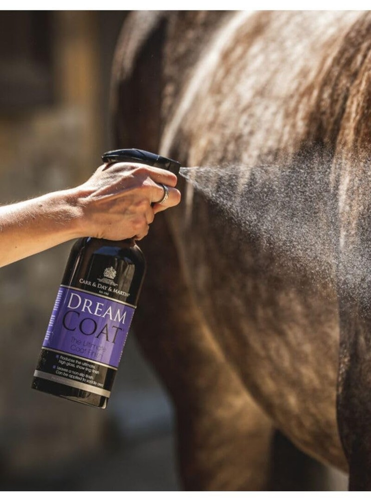 Dreamcoat Shine, 500ml