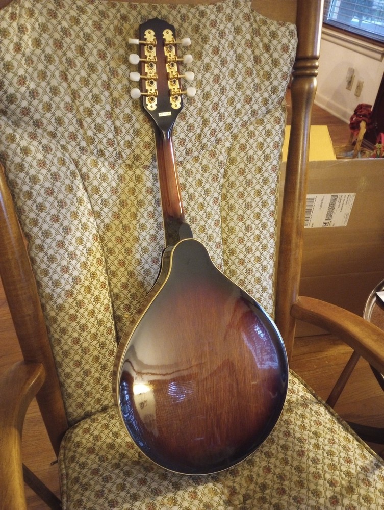 Fender FM-53S SB Mandolin - Solid Spruce Top - Sunburst - TKL Case Included