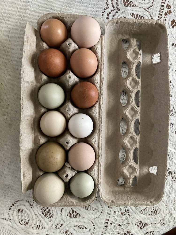 Hatching Eggs ￼
