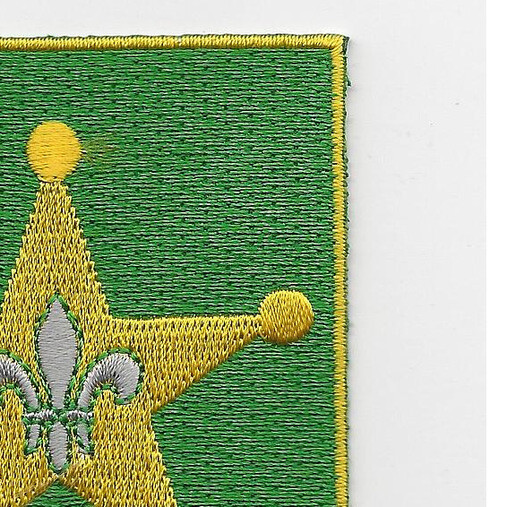 387th Military Police Battalion Patch