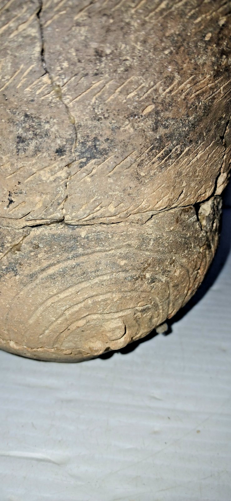 Pre-Columbian Native American Indian Mississippian Partial Pottery Jar Artifact