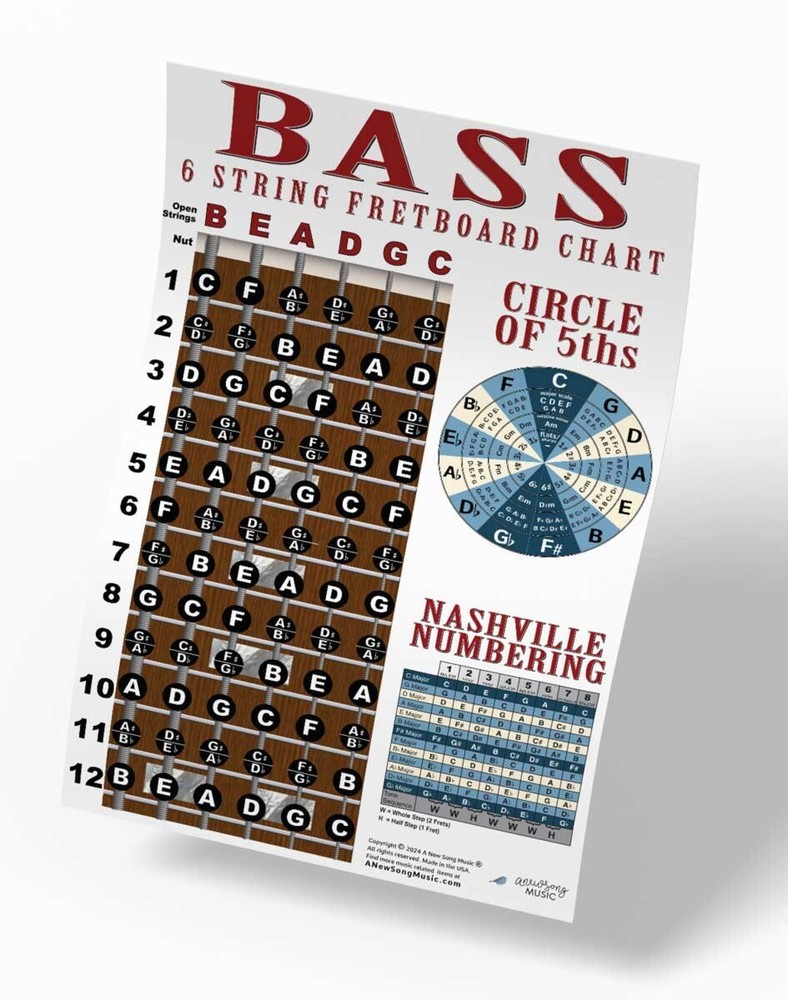 6 String Bass Fretboard Instructional Chart Poster Notes Theory