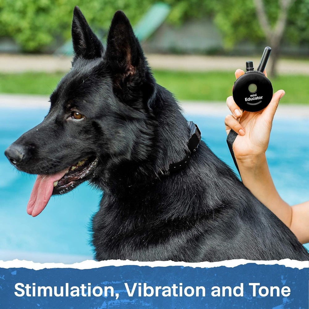 Mini Educator ET-302 Remote Dog Training Collar Black by E-Collar Technologies