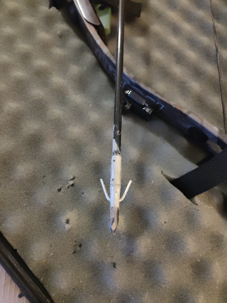 Darton Compound Bow w/Case