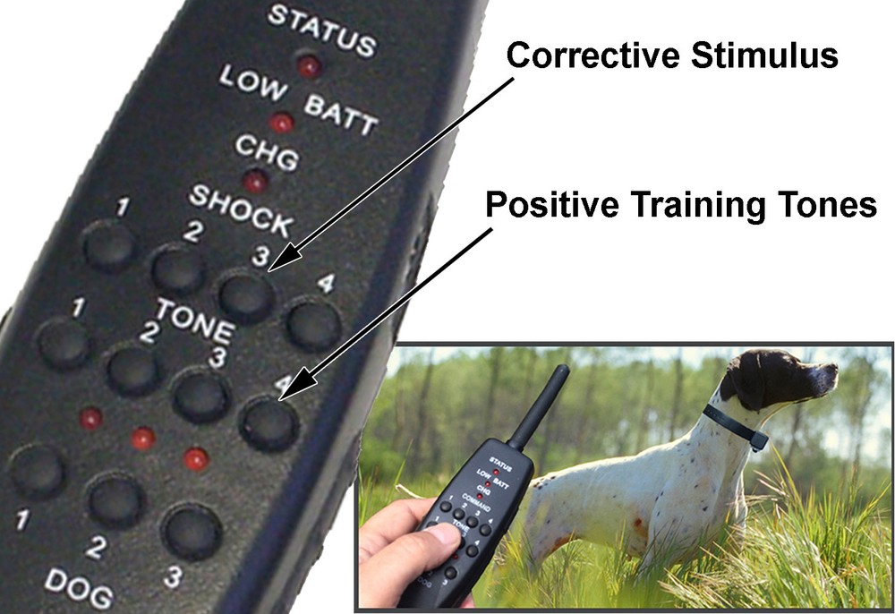 Express Trainer Remote Dog Training Collar FACTORY DIRECT From HIGH TECH PET