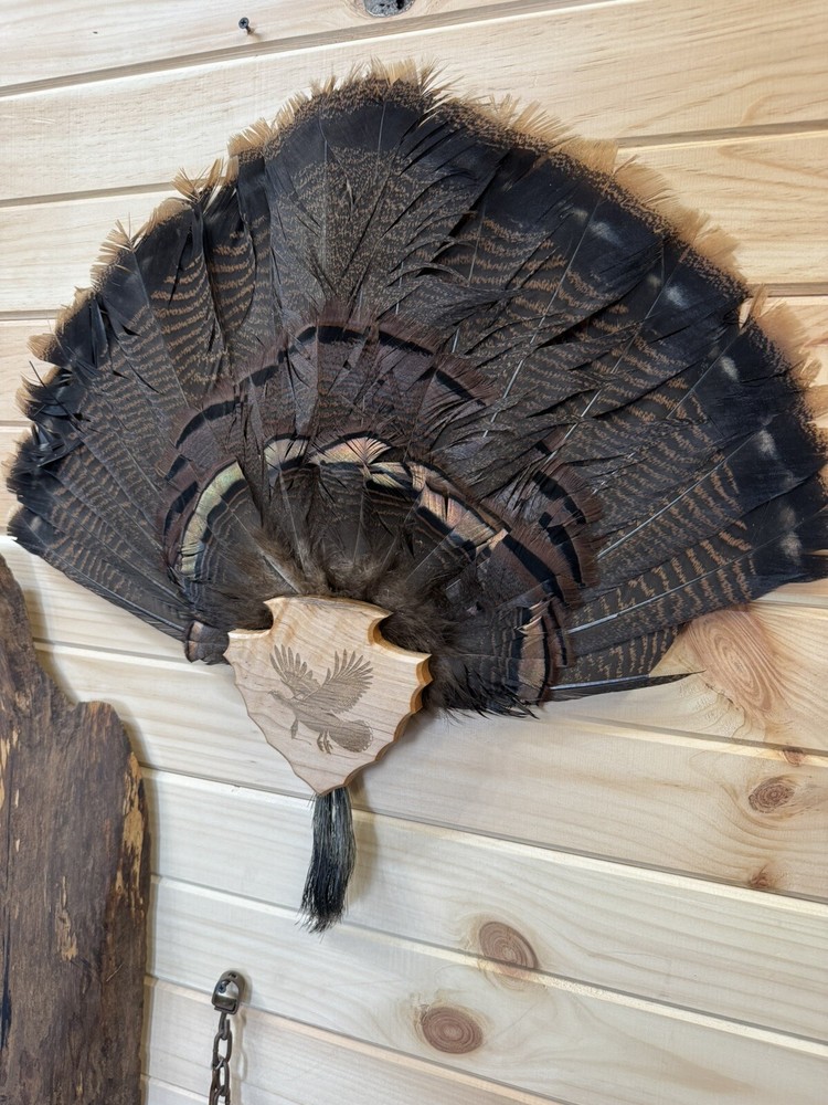 Turkey Tail & Beard Hardwood Plaque