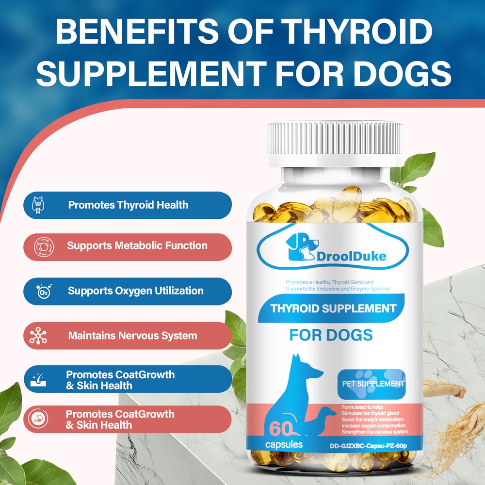 (2 Packs)Thyroid Supplement for Dog,Balanced Thyroid Function,Healthy Metabolism