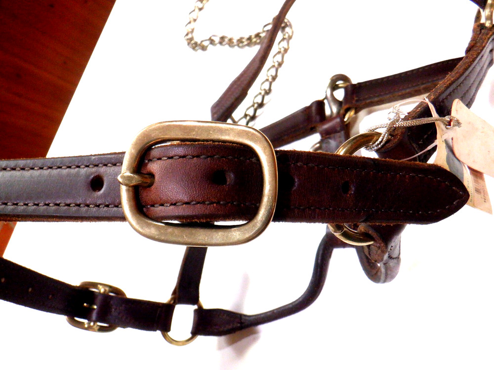 Horse Halter New w/tags Leather Nice/Heavy Solid Brass Buckels, snaps, Chain
