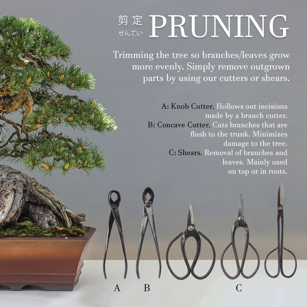 Bonsai Tree 5pc Shear Tool Set