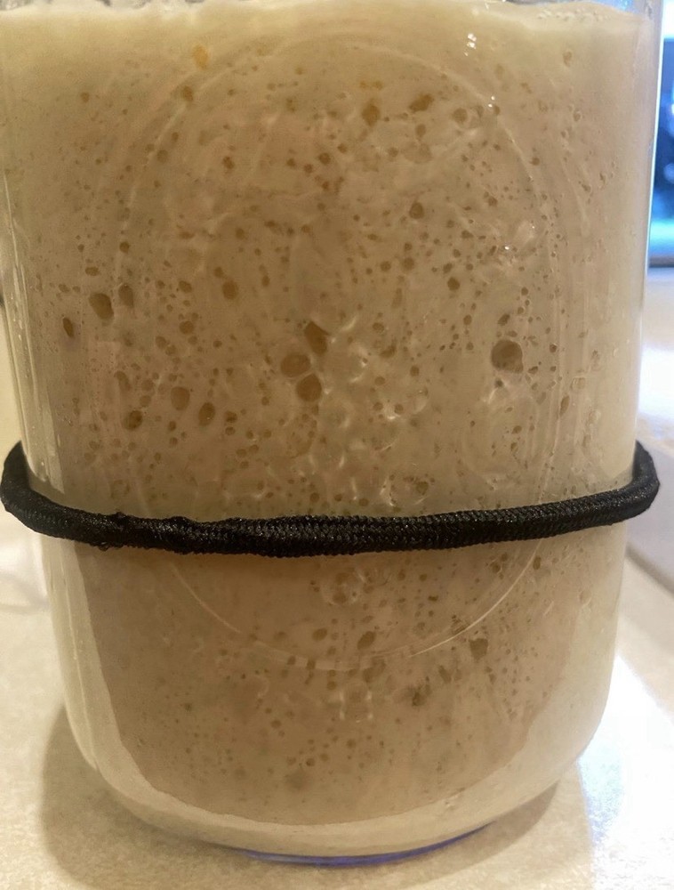 Dehydrated Sourdough Starter!