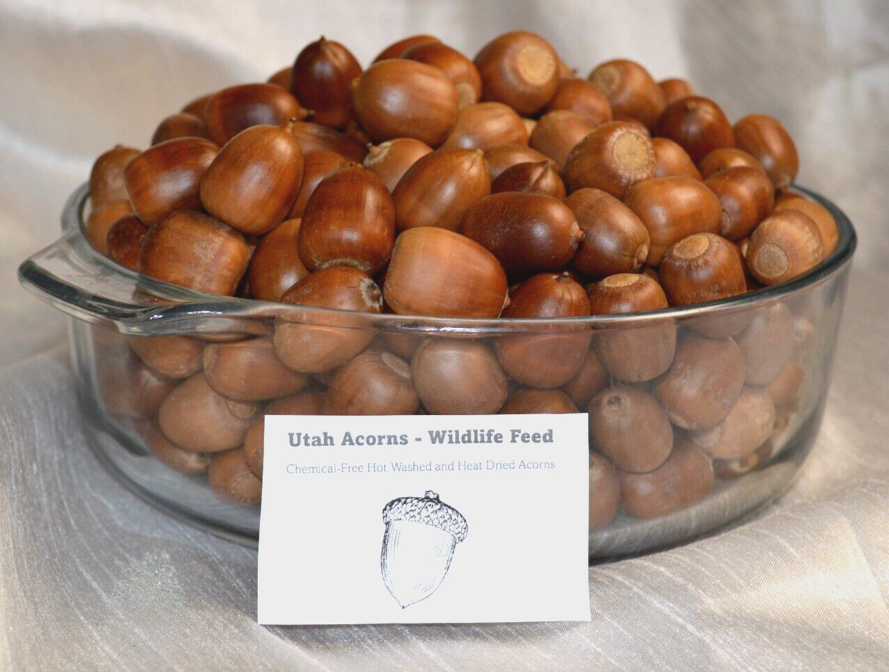 Acorns Wildlife Feed 1 LBS Chemical-Free Heat Dried For Birds, Squirrels, Deer+
