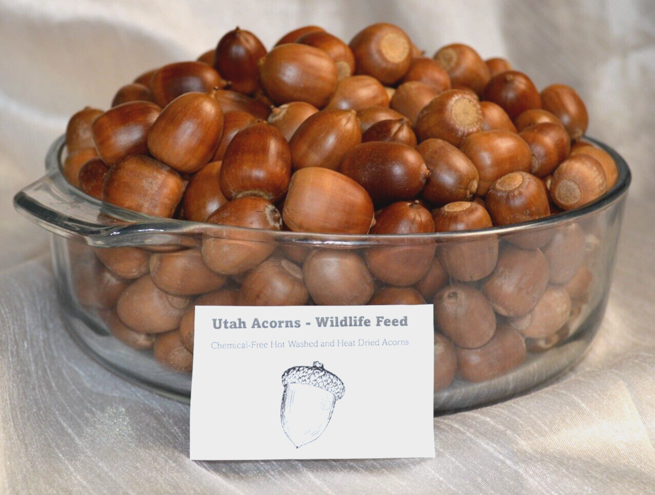 Acorns Wildlife Feed 1 LBS Chemical-Free Heat Dried For Birds, Squirrels, Deer+