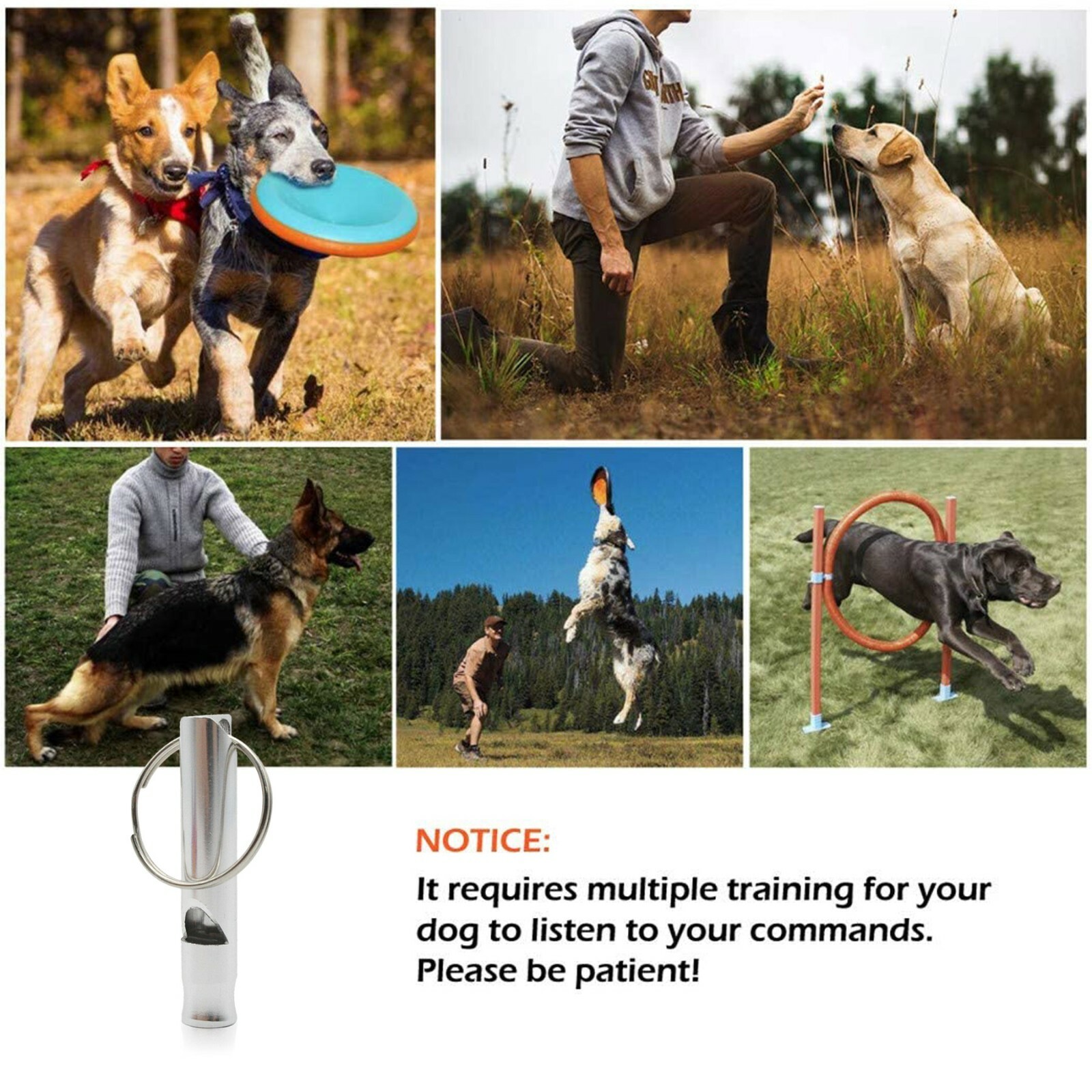 Stainless Steel Dog Training WHISTLE High Pitch Sound Obedience Stop Barking Pet