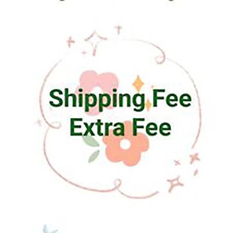 Shipping Fee , Express Shipping Fee, Extra Fee, Price Difference
