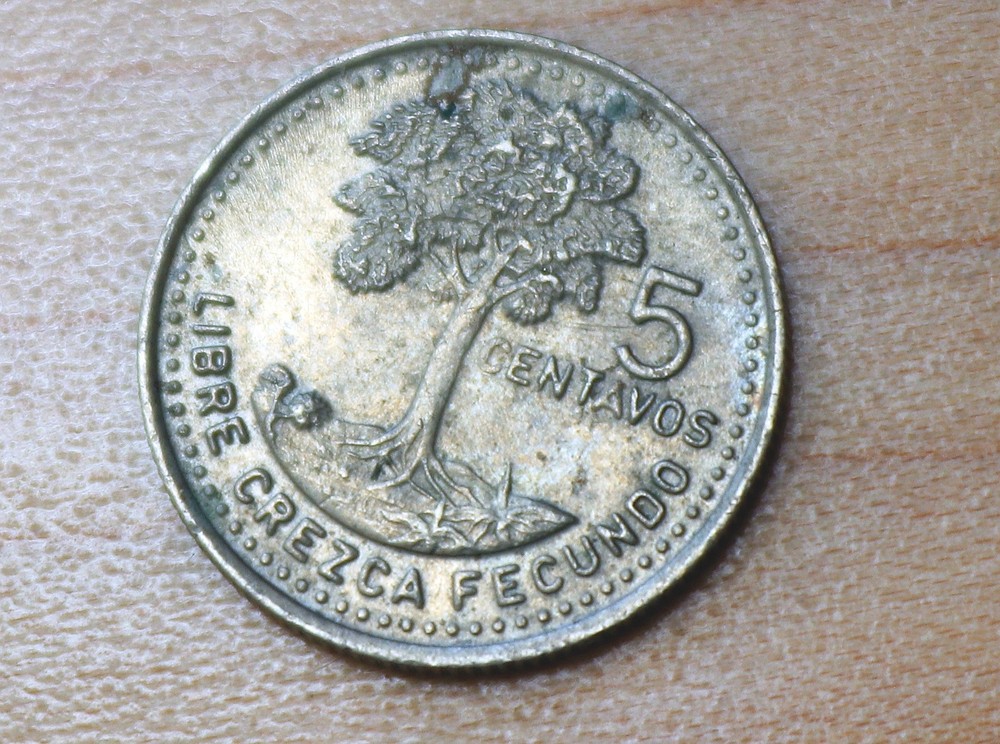 1996 Guatemala 5 Centavos Kapok Tree