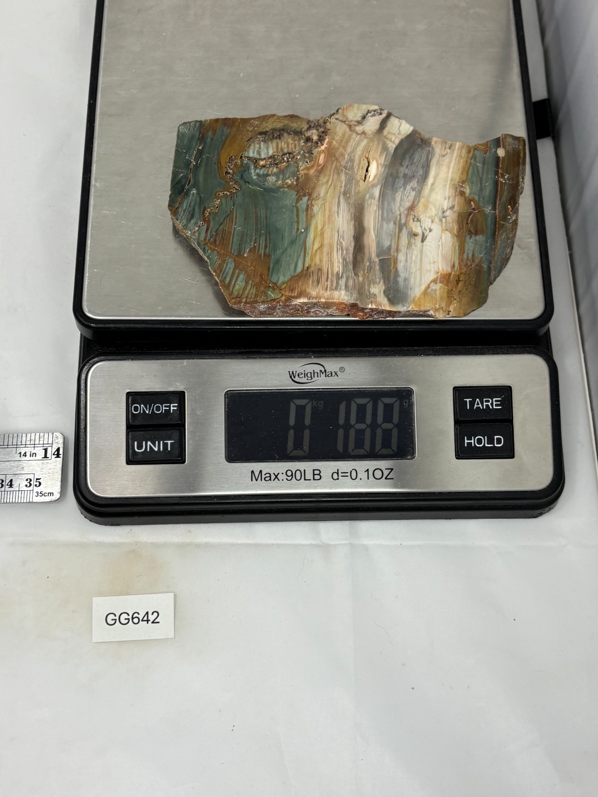 Gary Green Caldera Freedom Jasper Slab Cabbing Lapidary Combo Ship Avail