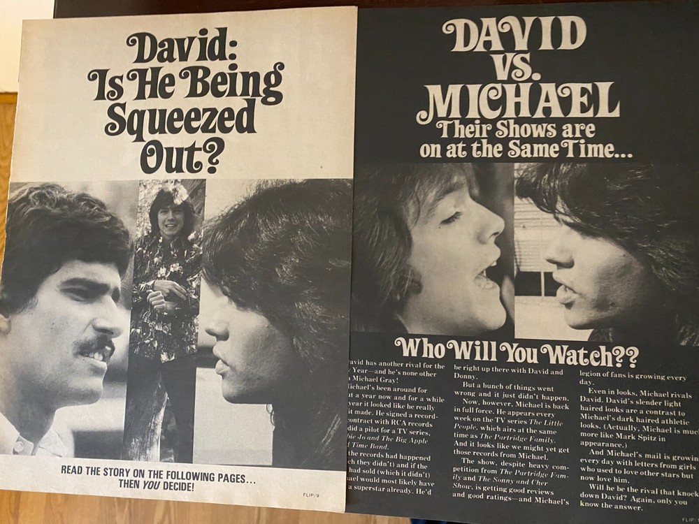 David Cassidy, Two Page Vintage Clipping