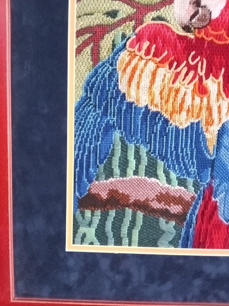 Vintage Framed Needle Work Parrot
