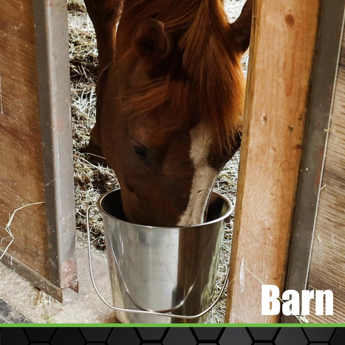 Grip Stainless Steel Bucket (1 Gallon) - Great for Pets, Cleaning, Food Prep ...