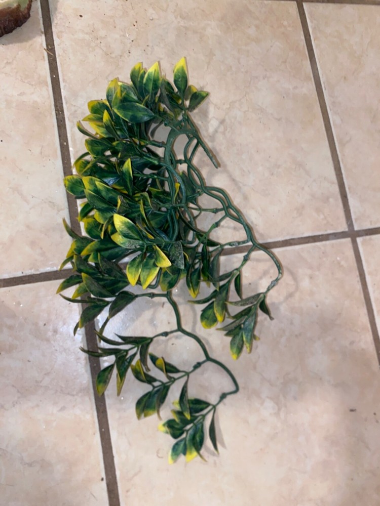 Lizard decoration, Used condition still good , comes with heating, works