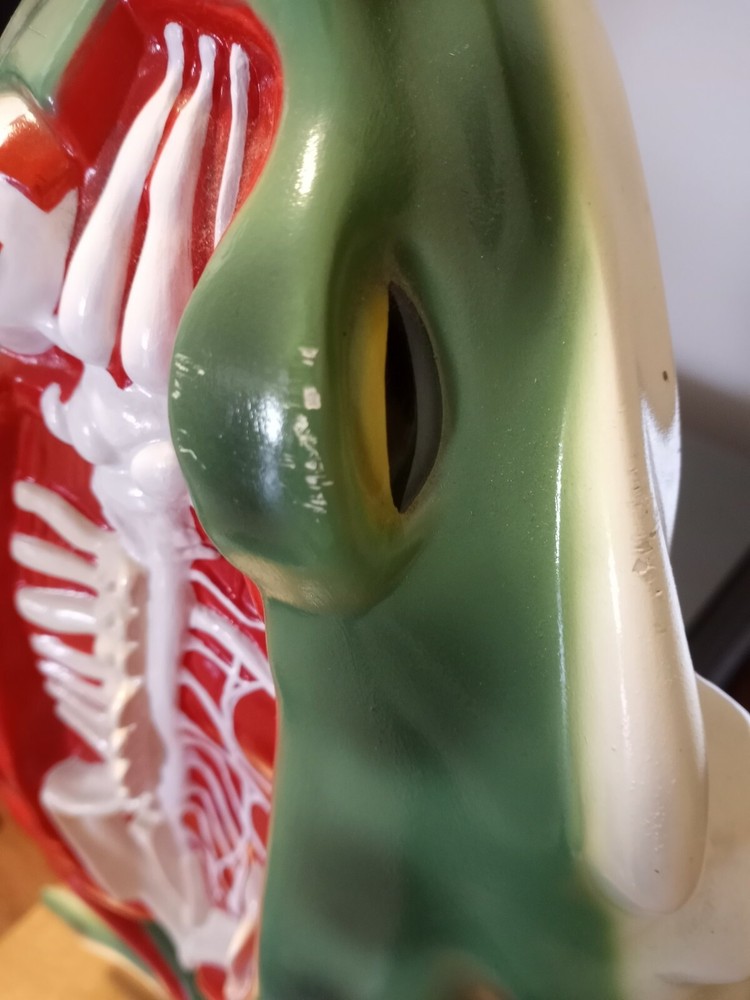 Sargent Welch Frog Model