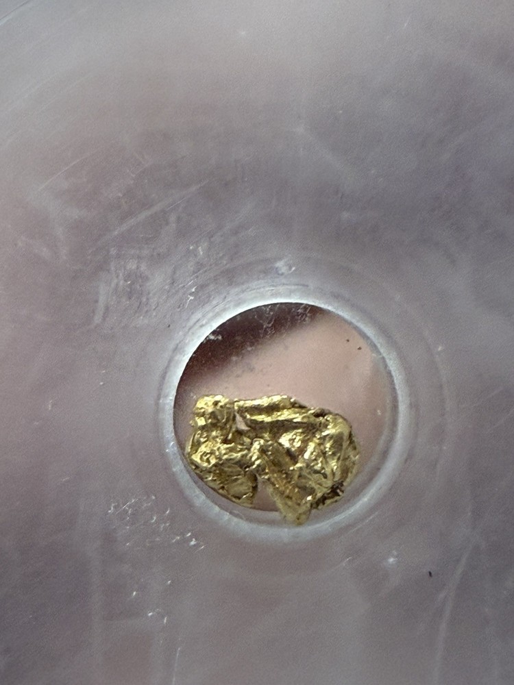 GOLD NUGGET ICG .46 GRAMS