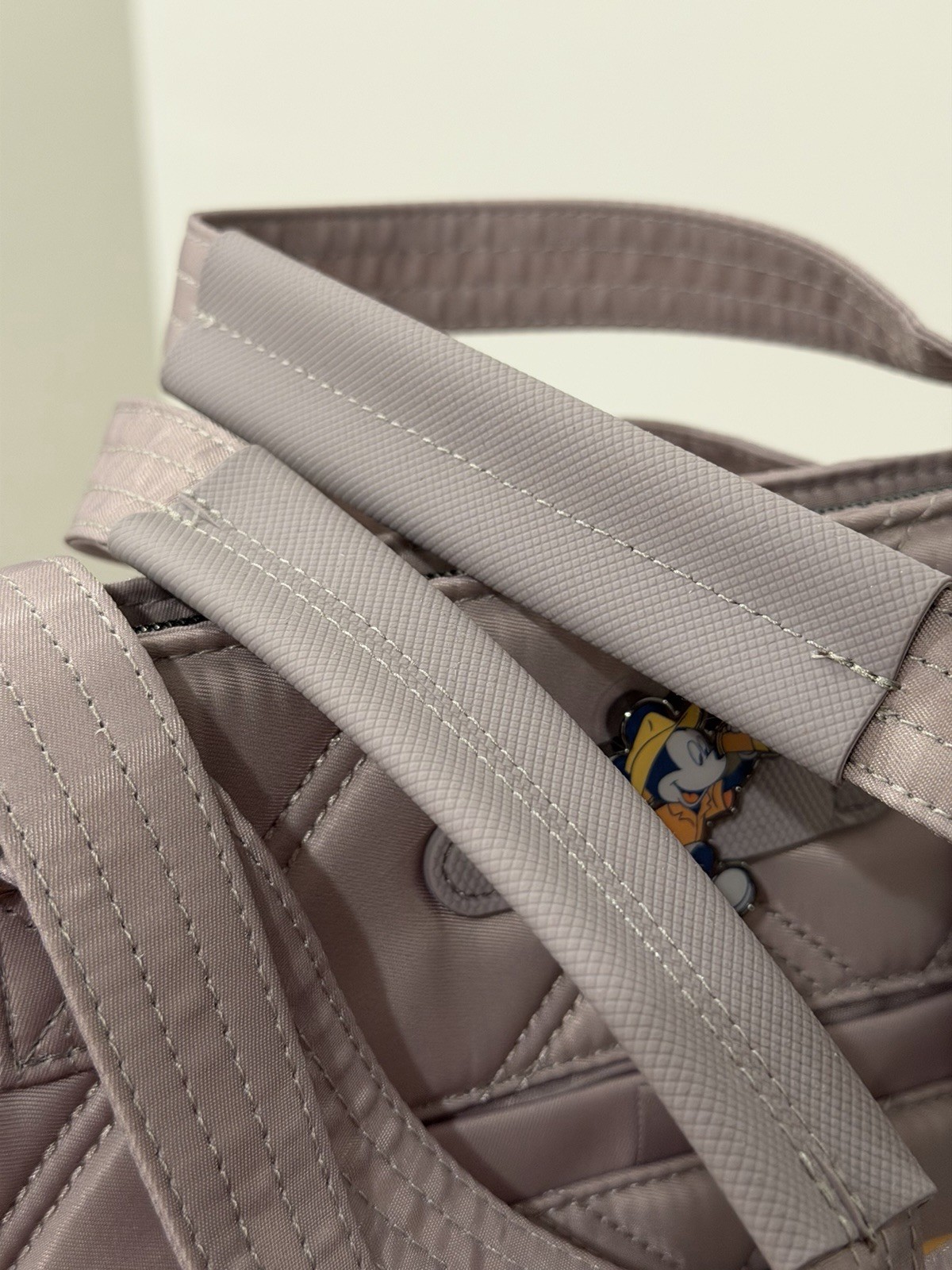 Lug Disney World Animal Kingdom Park Mickey Mouse Tree Of Life Skyliner Tote Bag