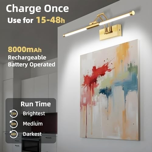 Rechargeable 24" Wireless Picture Light with Remote - Dimmable LED Art Lighting,