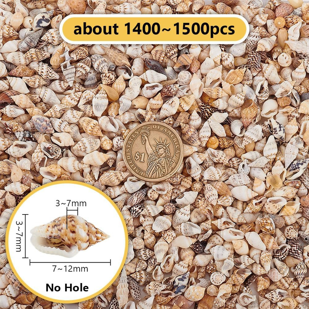 1400-1500Pcs Tiny Sea Shells 7-12Mm Tiny Crushed Shells Miniature Shell NO Hole