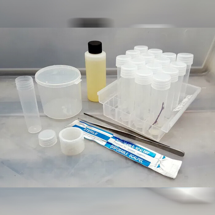 microCLONE Seed Starter Kit