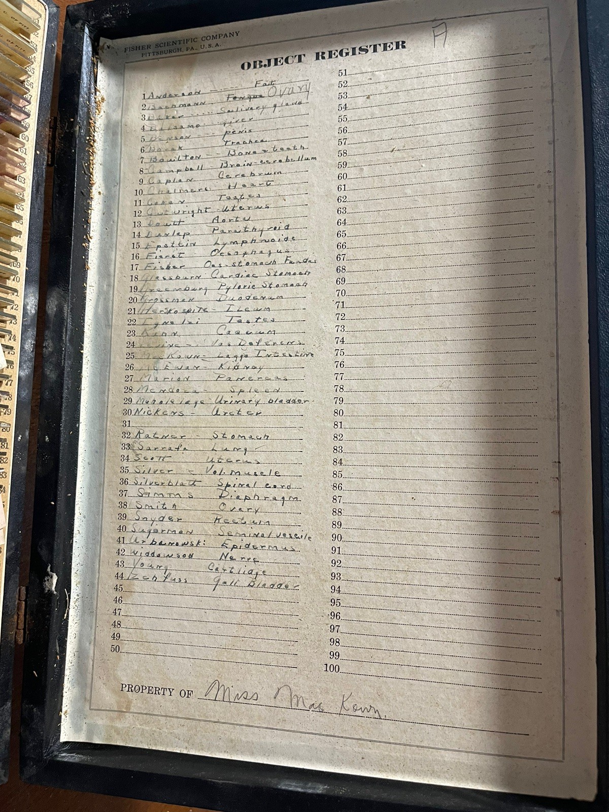 BOX OF 100 ANTIQUE MICROSCOPE SLIDES – ZOOLOGY 1920s Scientific