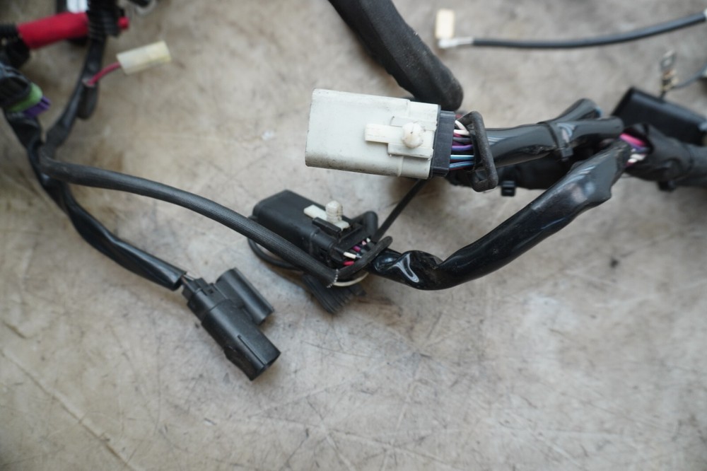22 HARLEY DAVIDSON ROADGLIDE MAIN WIRING HARNESS E-4624