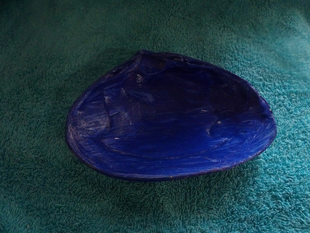 Magic By The Seashell, Blue Shell, Powerful, Has Been Blessed In a Ritual