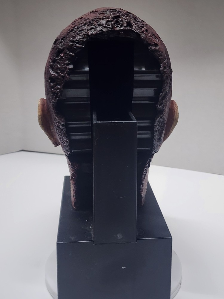 AMC Walking Dead Zombie 2 Dvd Head Display Case Please Read