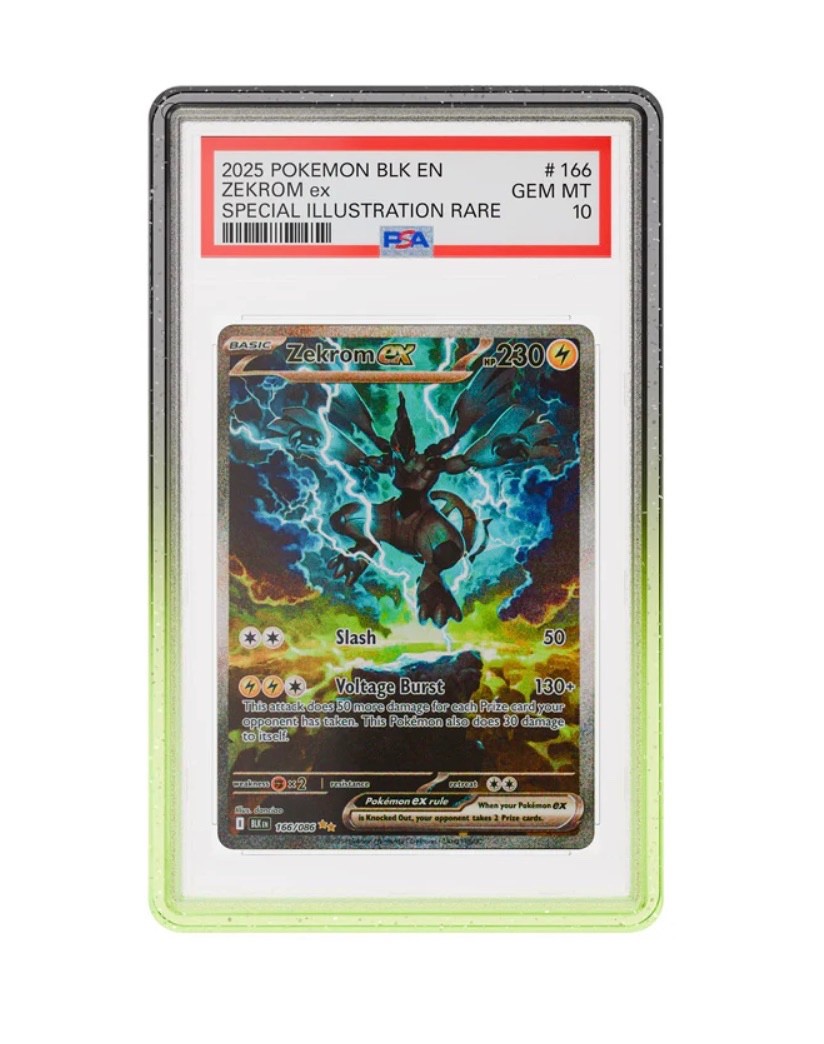 GradedGuard PSA Graded Card Case Guard Protector FALLOUT Limited Edition