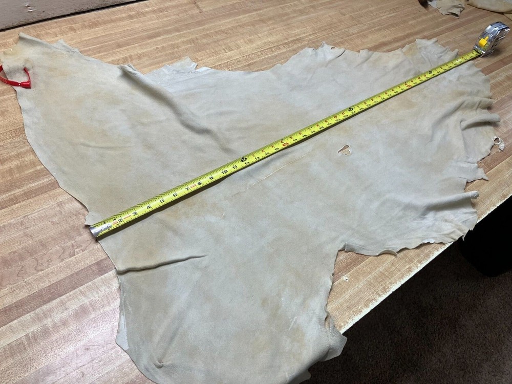 Suede Deer Leather #0018366 Row WW