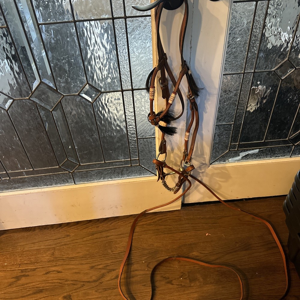 Bridle that combines side pull control with the action of a snaffle bit #R45