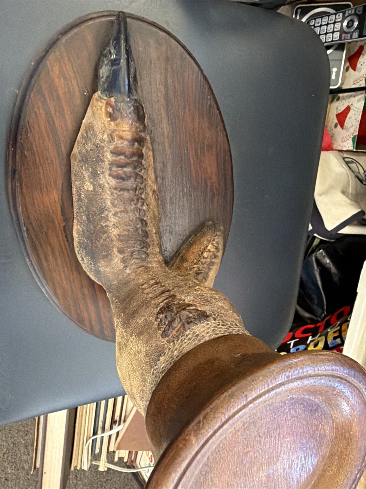 Vintage Ostrich Foot Stand w/ Wooden Dish Australian Curio Decor