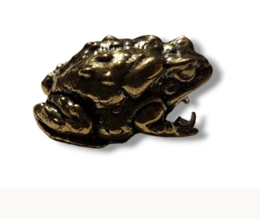 Bufo alvarius Sonoran Desert Toad Alter Piece ~ brass/small BUFO MEDICINE