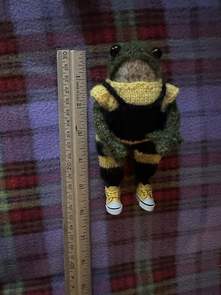 Knitted Frogy.