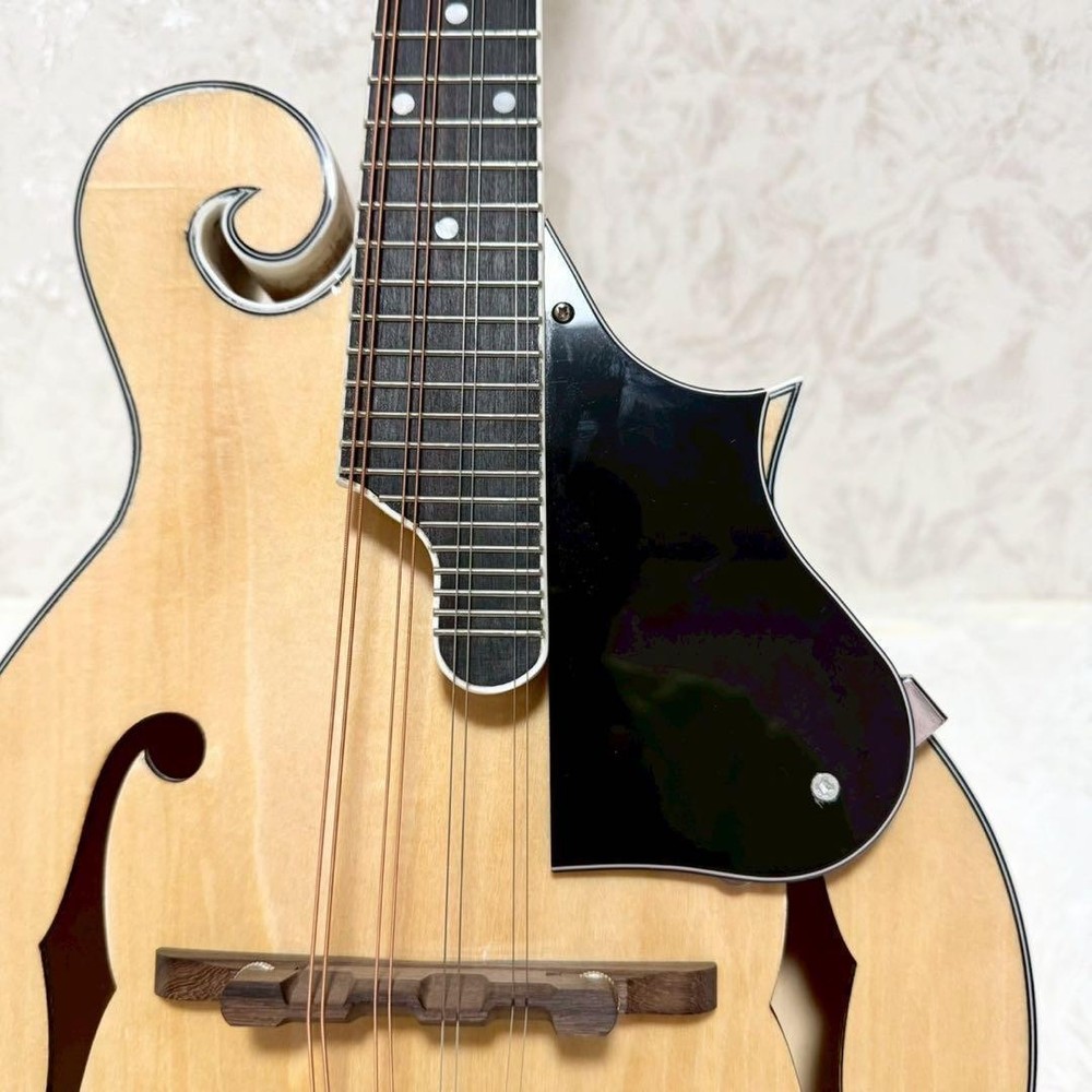 [Rare item] MYLOWE flat mandolin with hard case