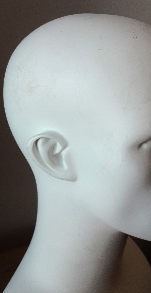 Male Mannequin Display Head