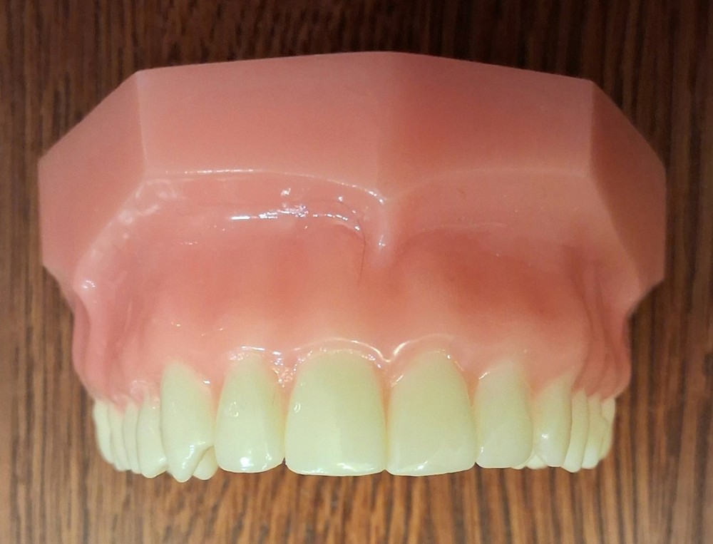 Invisalign Typodont