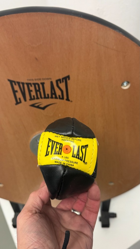 Everlast Boxing Speed Bag Set -