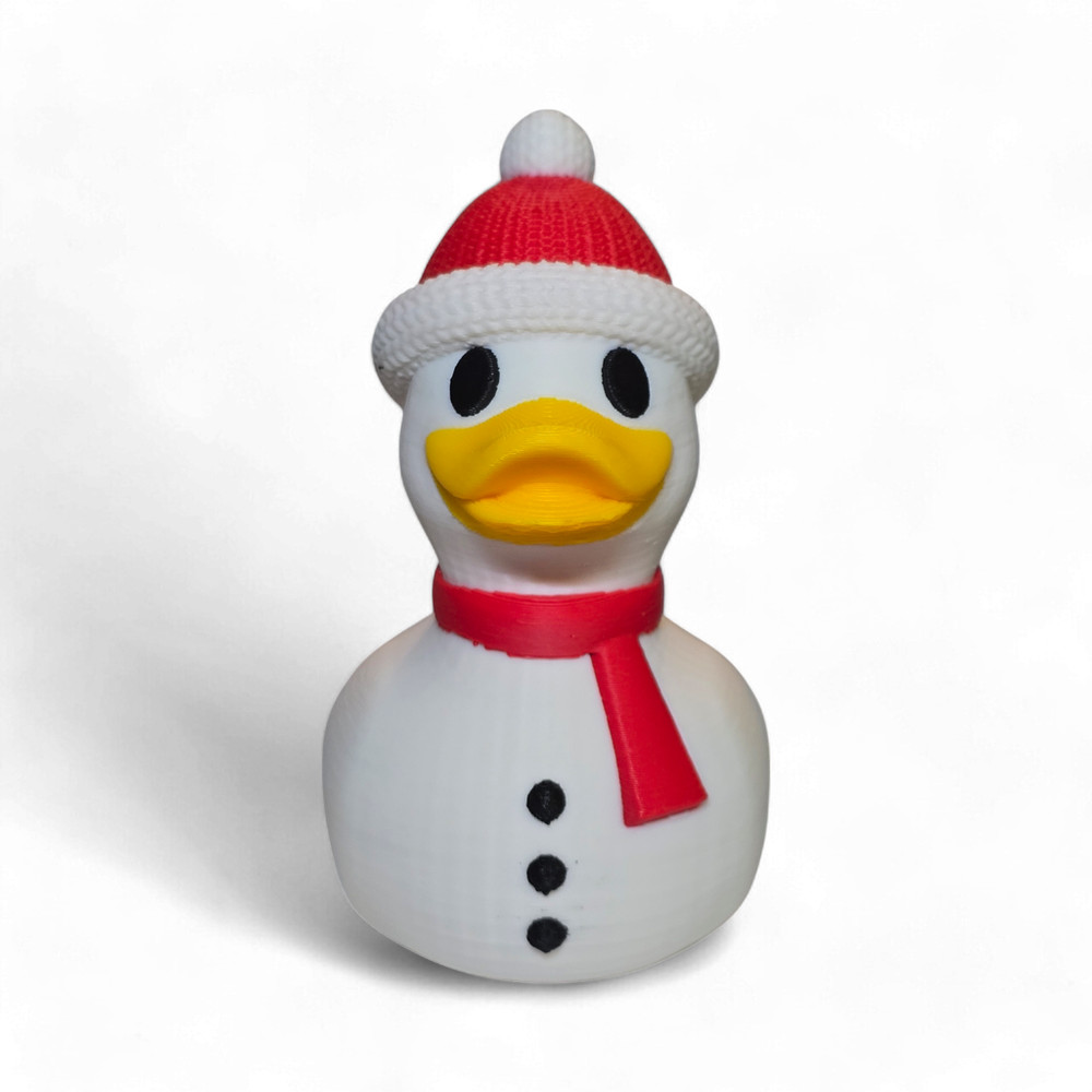 Snow Duck
