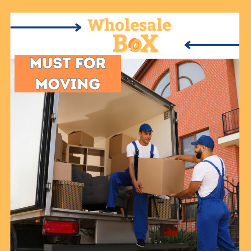 24x18x10 Shipping and Packing Box (2 Pack)