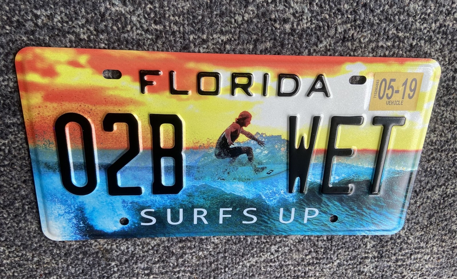 Endless Summer Surfer License Plate Beautiful Alternative