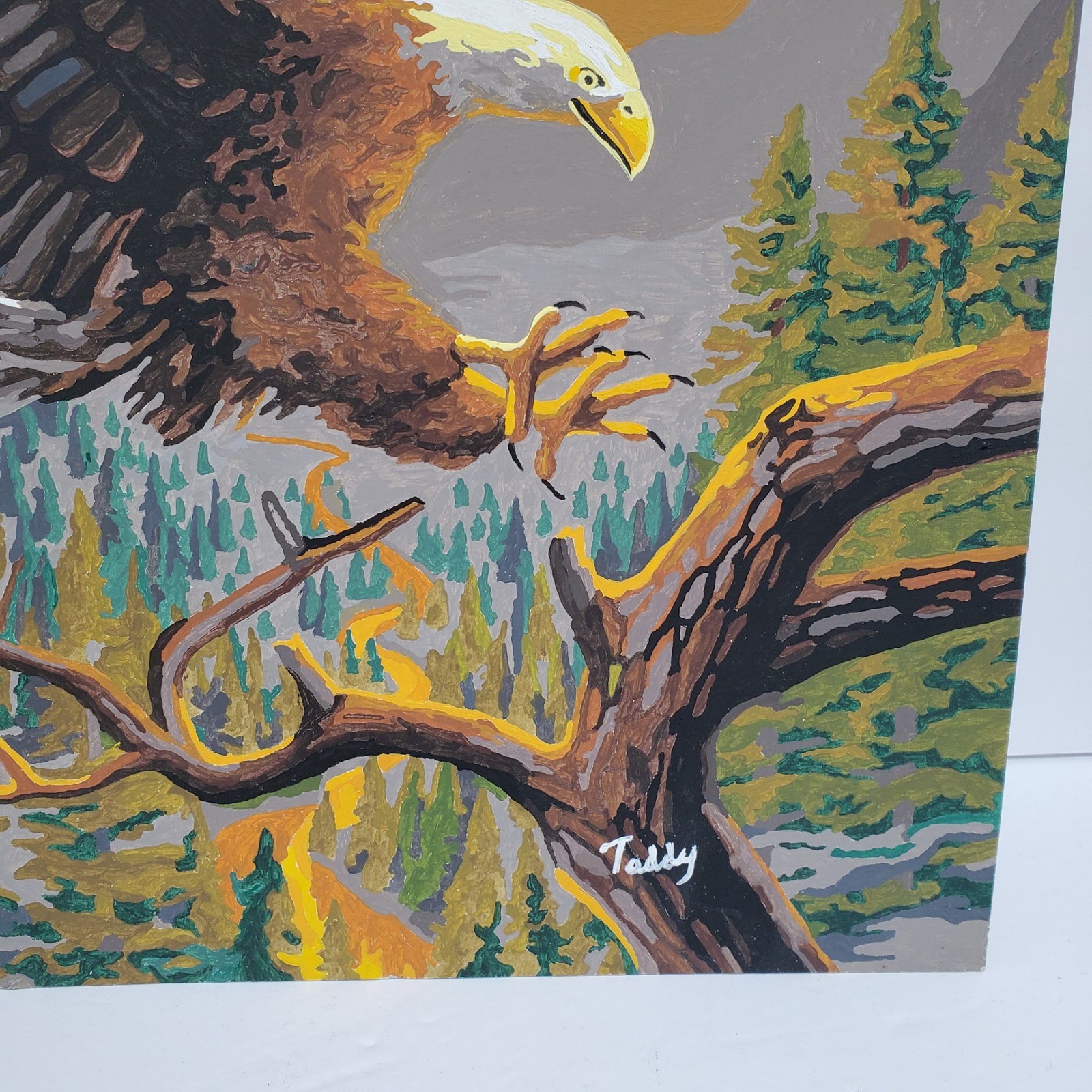 Vintage Bald Eagle Paint By Number Art Sunset Landscape Signed Teddy 16x20